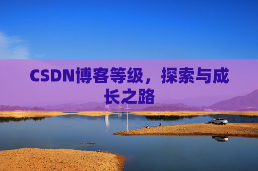 CSDN博客等级,探索与成长之路